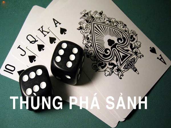 Thùng phá sảnh là gì? Ý nghĩa thùng phá sảnh trong xì tố | Playing cards art, Card tricks, Rummy