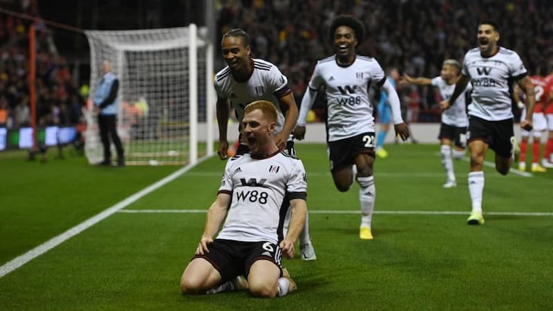 Fulham - Tiểu sử, thành tích nổi bật của đội bóng London