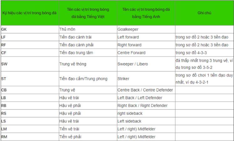 Khám phá các vị trí bóng đá 5, 7, 11 người trên sân cập nhật tháng 11 năm 2024