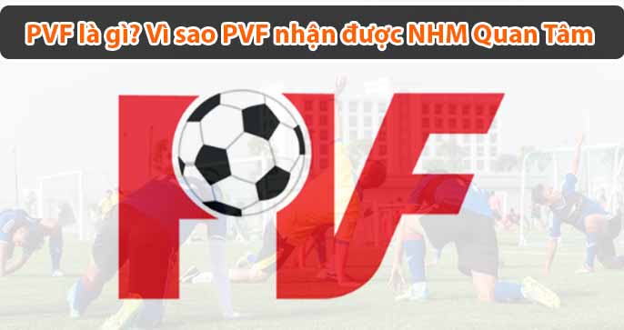 PVF là gì? Mà khiến giới bóng đá Việt Nam "sốt" rần rần?