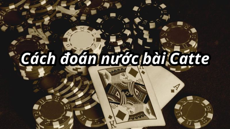 Cách đoán nước đi của quân bài Catte - Khám phá chiến lược thành công