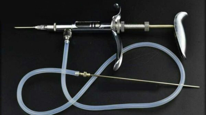 Hướng dẫn chi tiết về cách tiêm vắc-xin cho gà an toàn