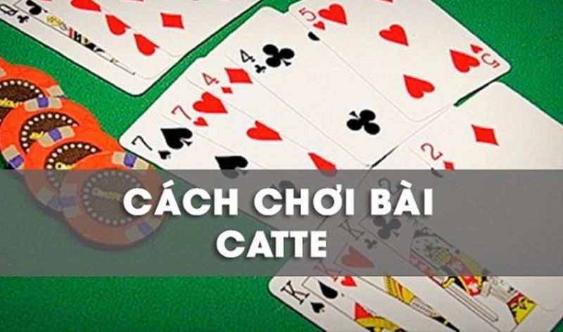 Cách chơi Catte dành cho người chơi cổng game B52