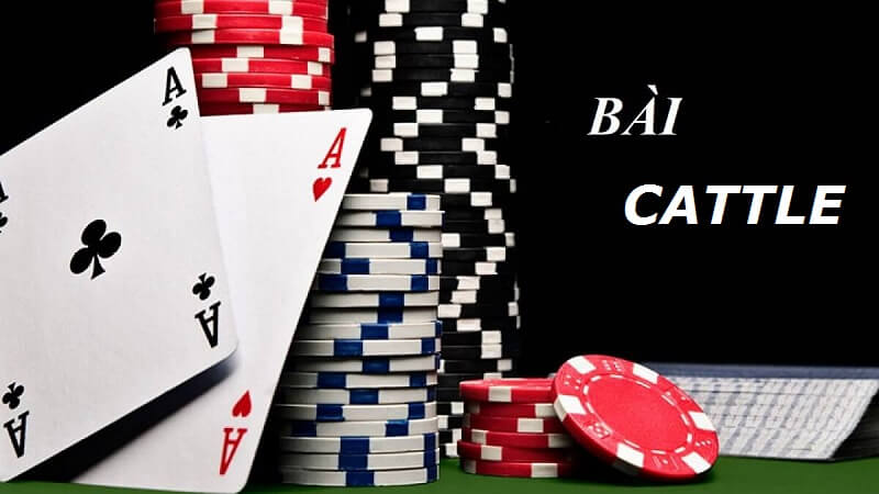 Cách chơi Catte dành cho người chơi cổng game B52
