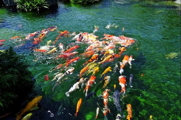 4 điểm tham quan không thể bỏ qua ở huyện Hóc Môn - Blog Rever