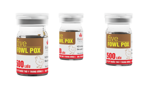 Biện pháp phòng đậu gà