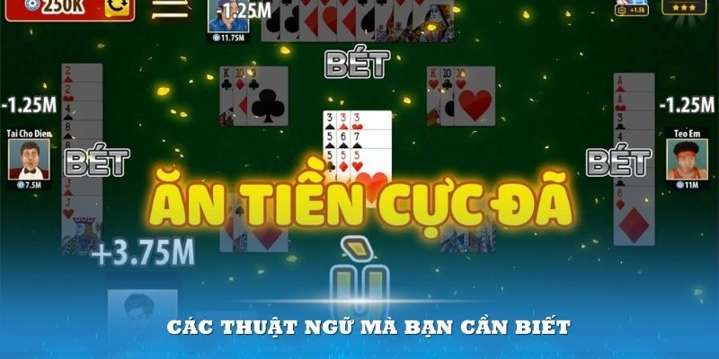 Các thuật ngữ trong phỏm 9 cây